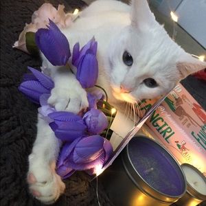 Meet your Posher, Leana